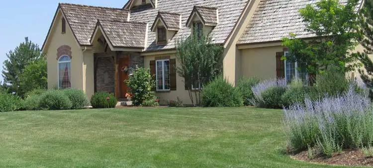 Alive Outside Landscaping owner, Brad Jones landscaping project completion.